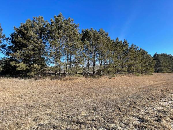 TBD 12th ST SW, Pine River, MN 56474
