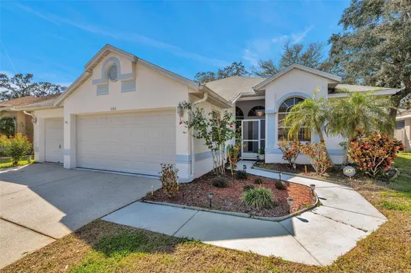 1765 WOOD HAVEN ST, Tarpon Springs, FL 34689