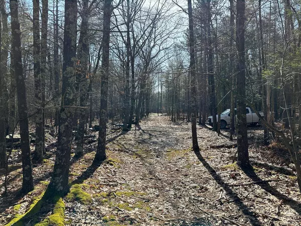 0 Blackhead Mountain RD, Round Top, NY 12413