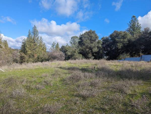 8575 Cave City RD, Mountain Ranch, CA 95246