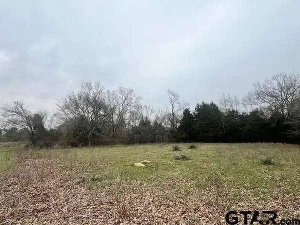 11230 Fm 317, Murchison, TX 75778