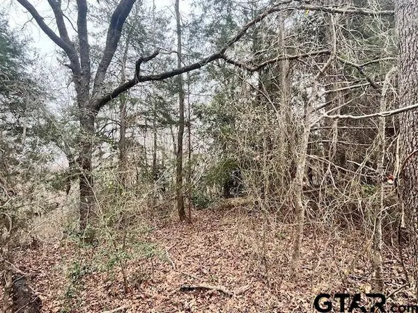 11230 Fm 317, Murchison, TX 75778