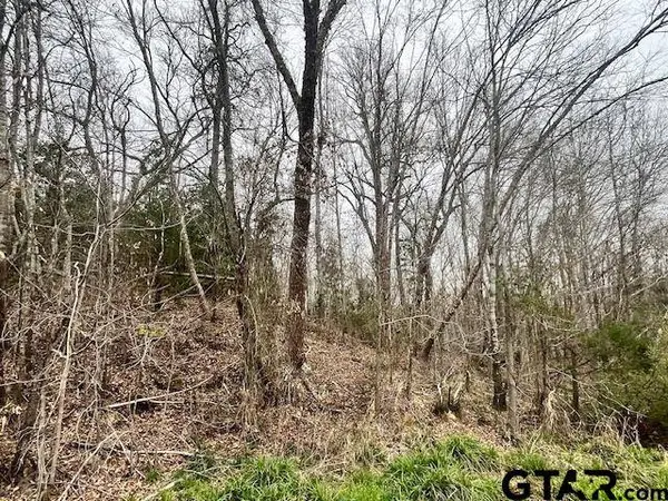 11230 Fm 317, Murchison, TX 75778