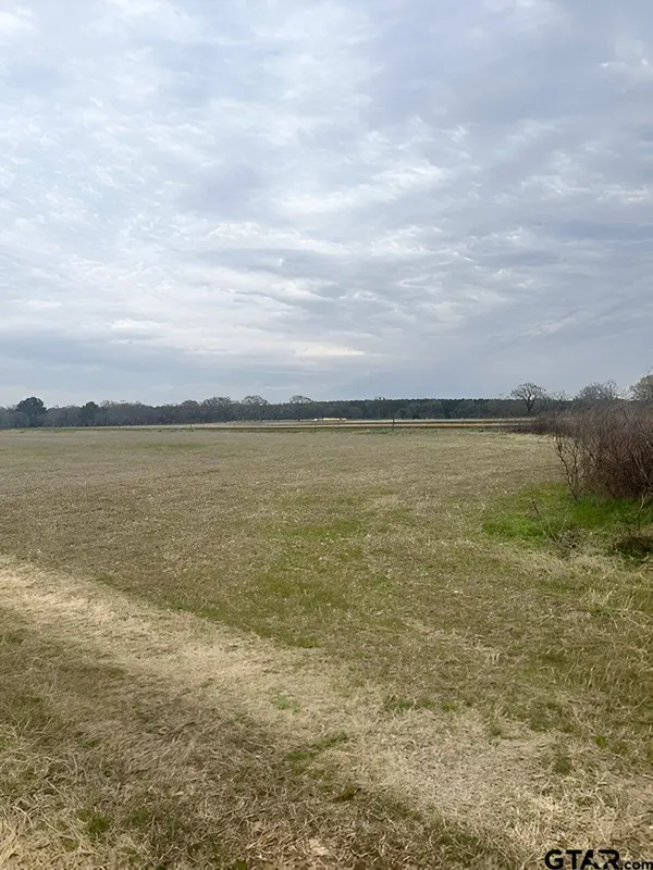 1066 FM 3198, Bullard, TX 75757