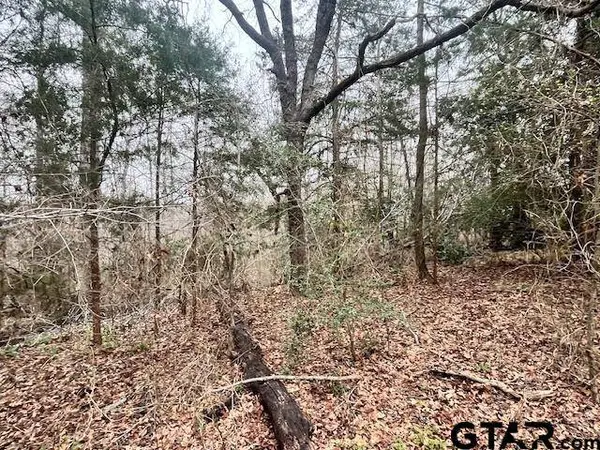 11230 Fm 317, Murchison, TX 75778