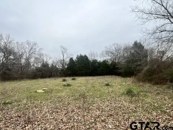 11230 Fm 317, Murchison, TX 75778