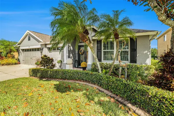 16451 NIKKI LN, Odessa, FL 33556