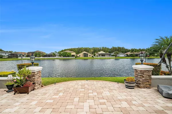 16451 NIKKI LN, Odessa, FL 33556