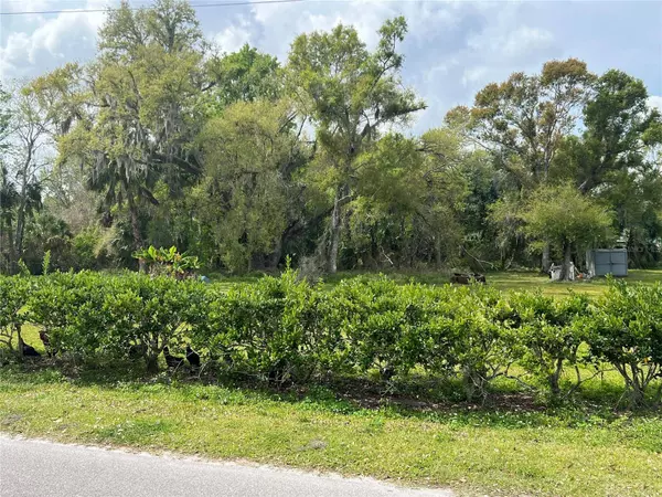 225 & 222 POTTER AVE, Arcadia, FL 34266