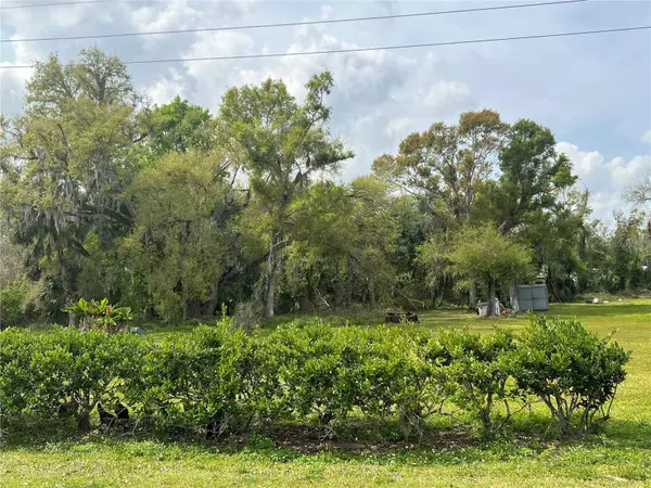 225 & 222 POTTER AVE, Arcadia, FL 34266