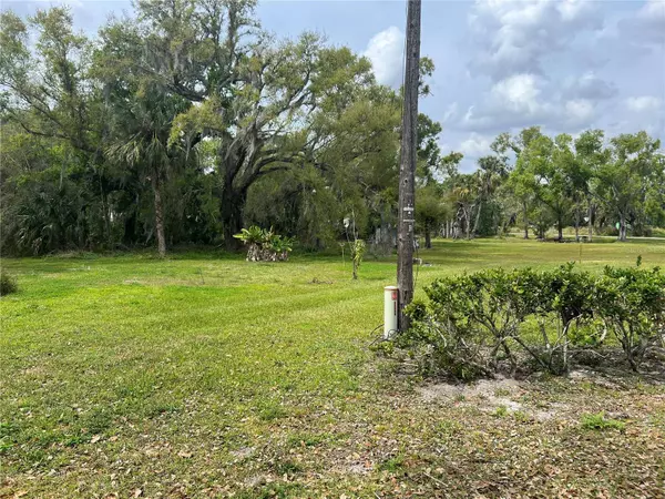 225 & 222 POTTER AVE, Arcadia, FL 34266