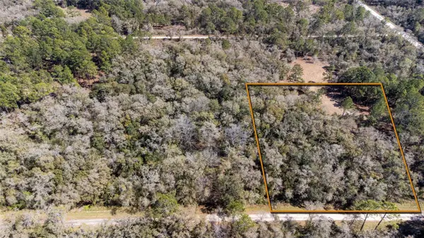 TABLE ROCK DR, Webster, FL 33597