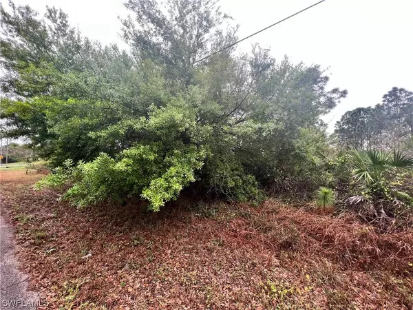 836 Carpenter ST E, Lehigh Acres, FL 33974