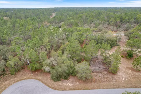 3836 W EUNICE DR, Citrus Springs, FL 34433