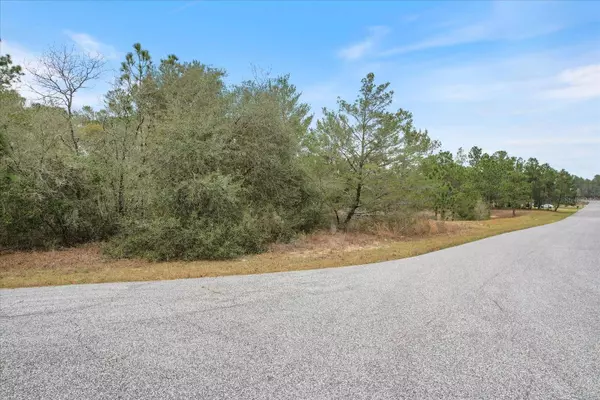 3836 W EUNICE DR, Citrus Springs, FL 34433