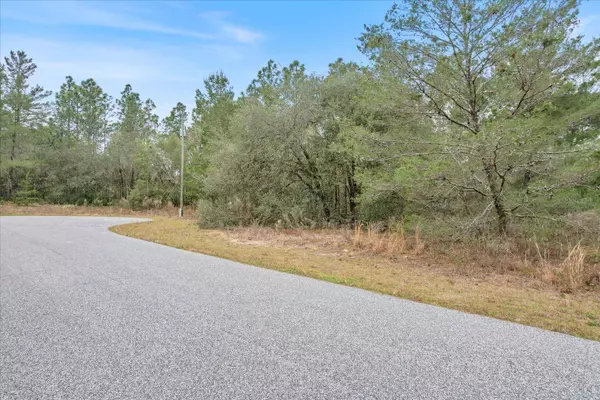 3836 W EUNICE DR, Citrus Springs, FL 34433