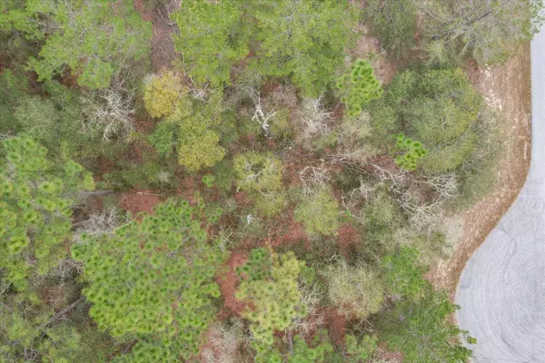 3836 W EUNICE DR, Citrus Springs, FL 34433