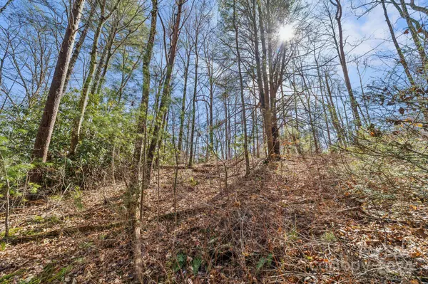 99999 Mill RD, Asheville, NC 28805