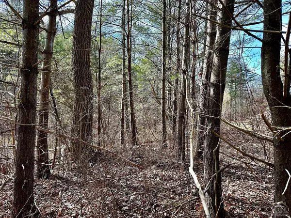 475 Route 145, Cairo, NY 12413