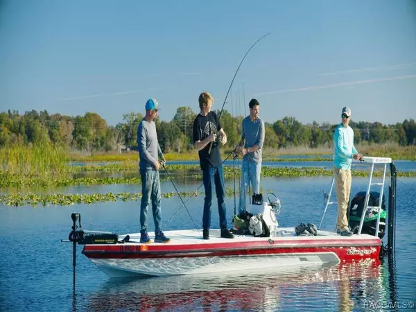 3941 S Cameo TER, Inverness, FL 34452