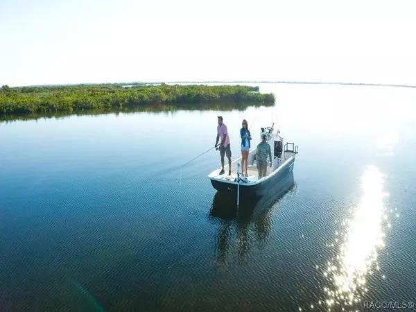 3941 S Cameo TER, Inverness, FL 34452