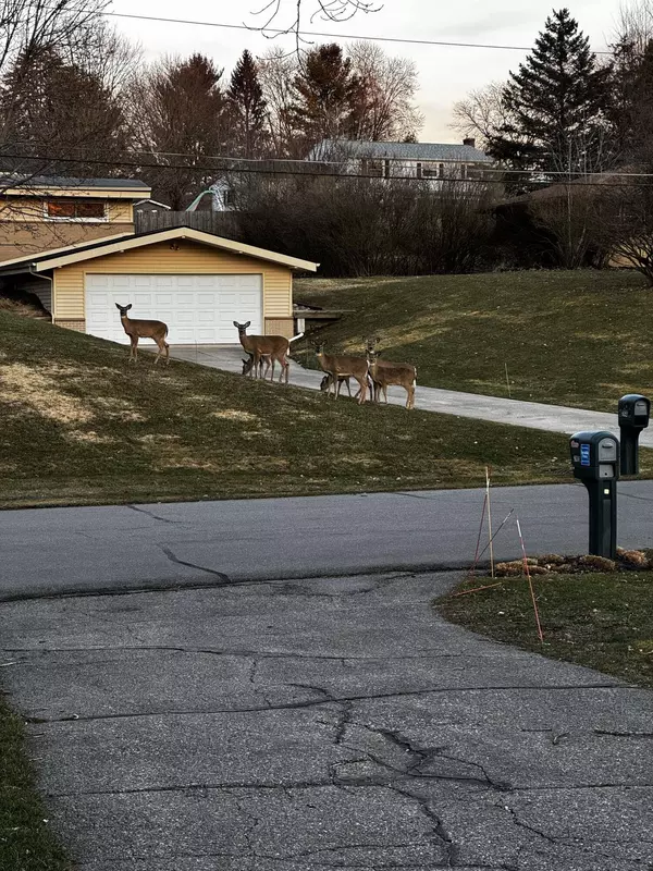 2680 Moerland NW Drive, Grand Rapids, MI 49504