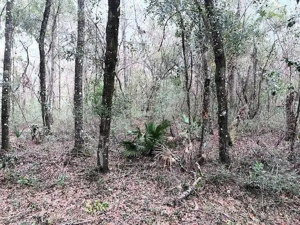 TBD NW 86TH ST, Chiefland, FL 32626