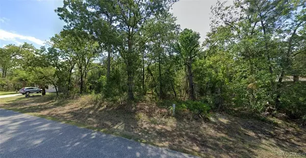 79 Daisy ST, Homosassa, FL 34446