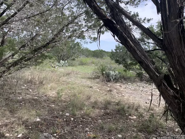 1765 COUNTY ROAD 429B, Uvalde, TX 78801