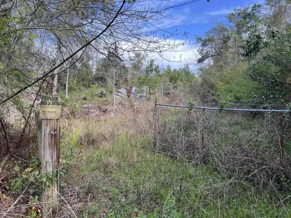 XX Sycamore Road, Greensboro, FL 32330