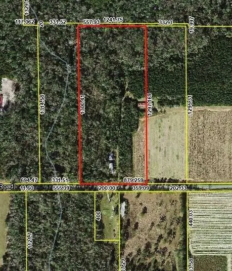 XX Sycamore Road, Greensboro, FL 32330