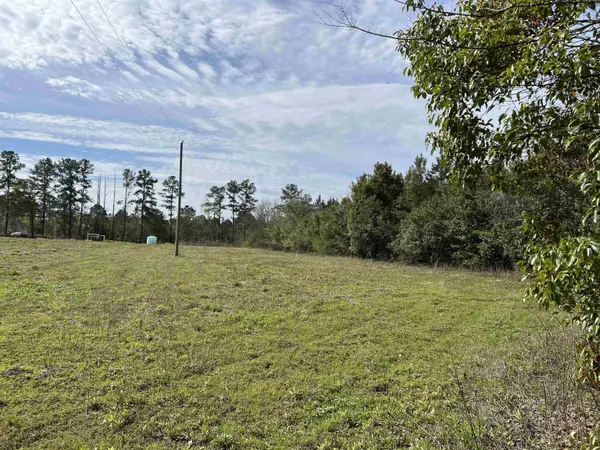 XX Sycamore Road, Greensboro, FL 32330