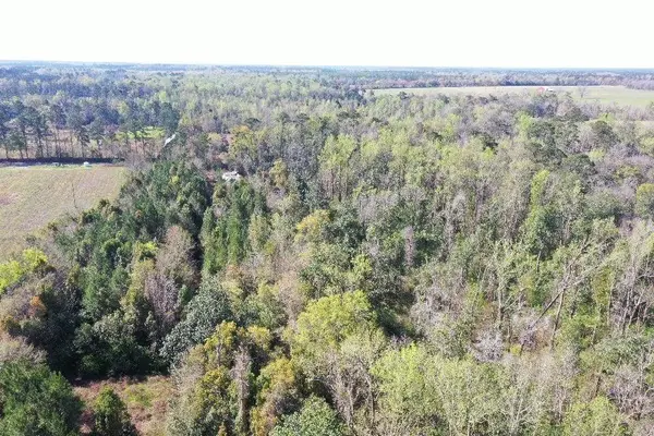 XX Sycamore Road, Greensboro, FL 32330