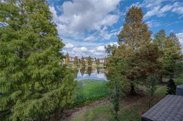 4555 TUSCAN LOON DR, Tampa, FL 33619