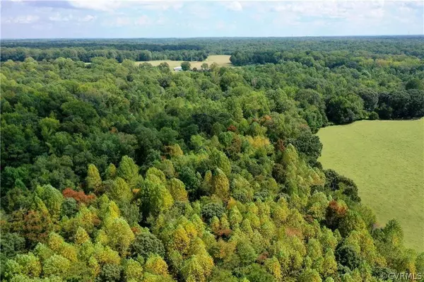 9106 Indiantown RD, King George, VA 22485