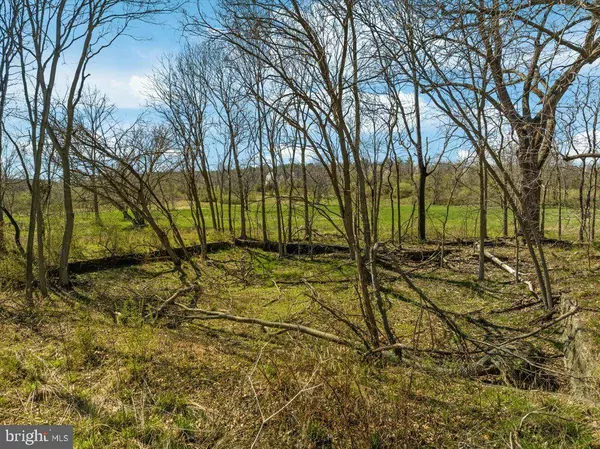 LOT 9 JONES RD., Winchester, VA 22602