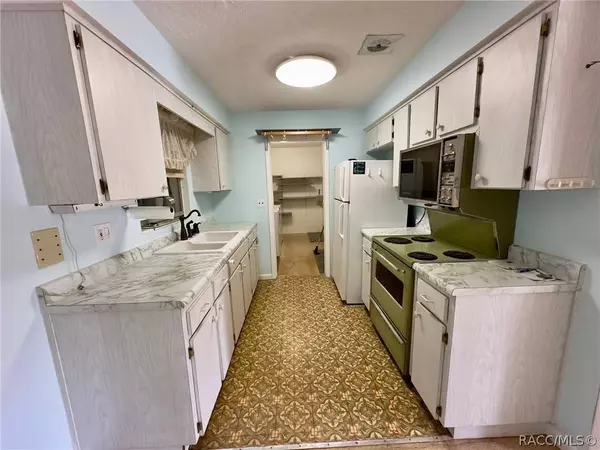 48 S Desoto ST, Beverly Hills, FL 34465