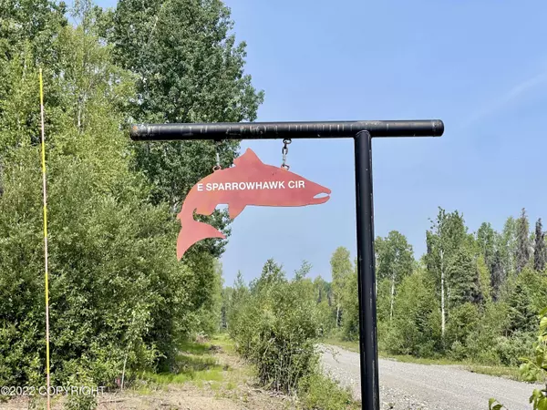 19911 E Sparrow Hawk CIR, Willow, AK 99688