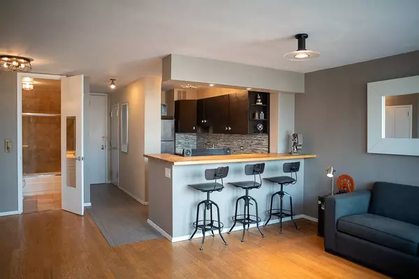 1 E Scott Street #1902, Chicago, IL 60610