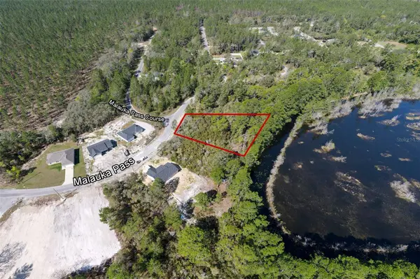 Lot 6 MALAUKA PASS, Ocklawaha, FL 32179