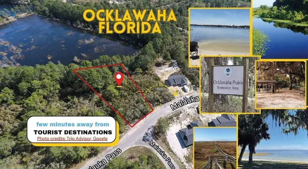 Lot 6 MALAUKA PASS, Ocklawaha, FL 32179