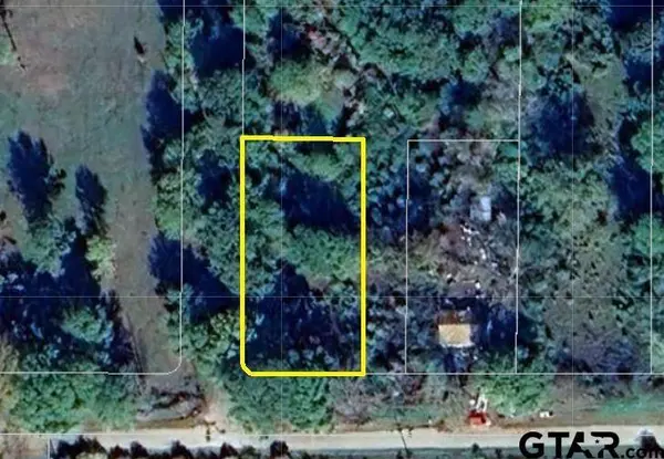 TBD Bailey St, Troup, TX 75789