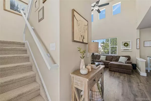 4089 Mesa Meadows CT, Castle Rock, CO 80109