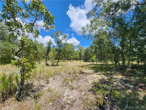 TBD SW Viburnum RD, Dunnellon, FL 34431