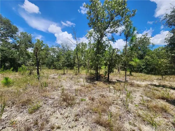 TBD SW Viburnum RD, Dunnellon, FL 34431