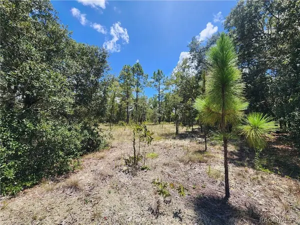 TBD SW Viburnum RD, Dunnellon, FL 34431
