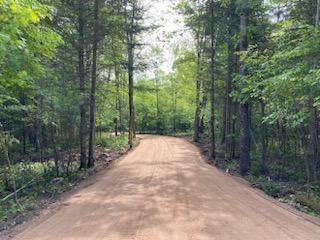 6793 N Riverside Trl, Ojibwa, WI 54862