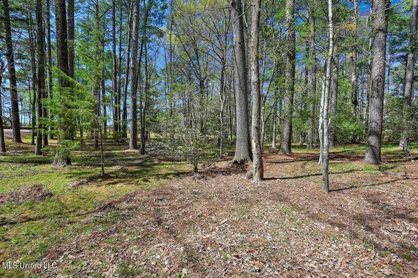 124 Ludlow Road, Pearl, MS 39208