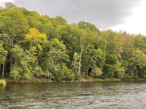 6793 N Riverside Trl, Ojibwa, WI 54862