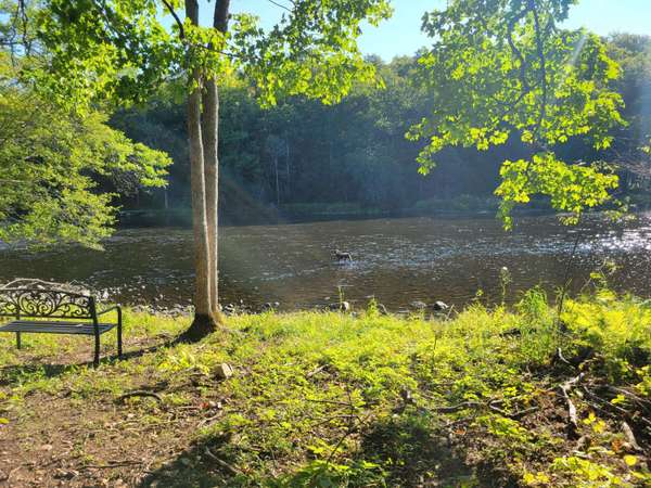 6793 N Riverside Trl, Ojibwa, WI 54862